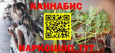 крисы Абакан