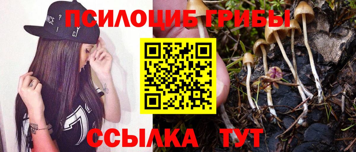 закладки  Вход с VPN  Фурманов  Галлюциногенные грибы Psilocybe 