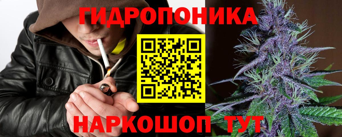 Бошки Шишки гибрид Фурманов